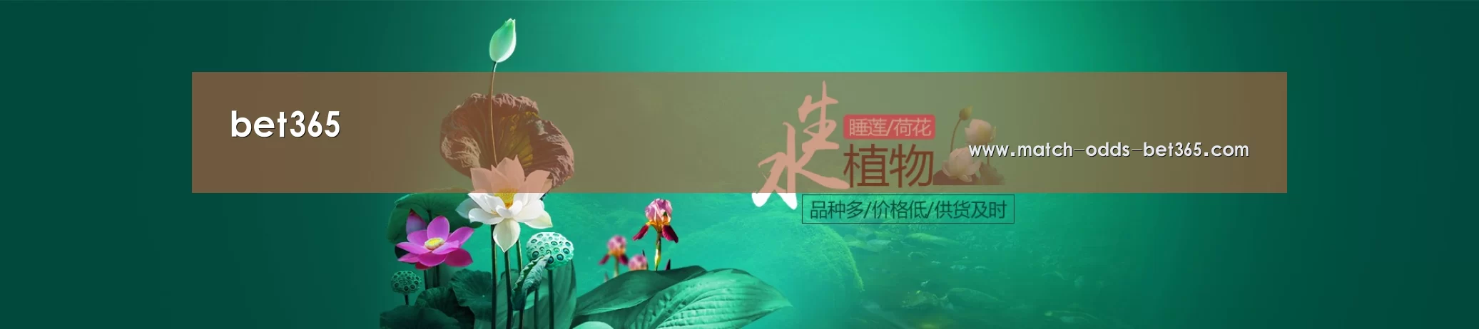 鲜花水草花卉网站模板