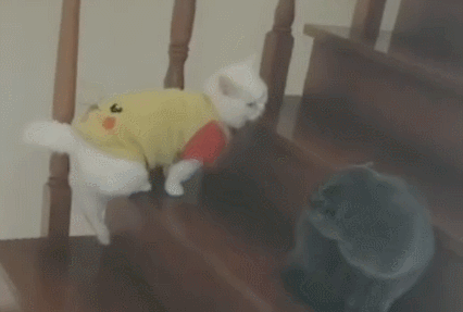 bet365网站