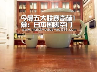 今晨五大联赛奇葩1幕:日本国脚空门不进,积雪门前阻挡必进球!-bet365(图2) bet365网站