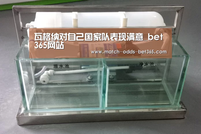 瓦格纳对自己国家队表现满意_bet365网站(图1)